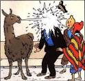 Tintin poncho